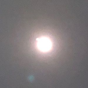 Meet your Posher, Josh